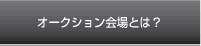 オークション会場とは？